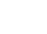 ACGink